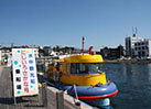 みうら・みさき海の駅